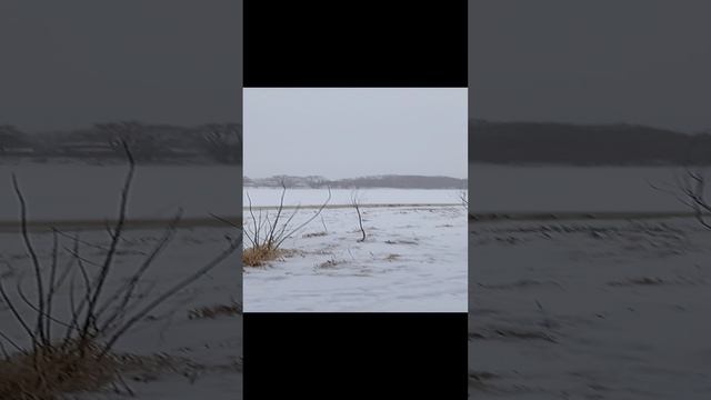 1 января шашлык из свинины с кабачками на углях у костра