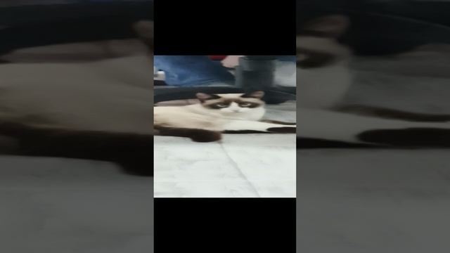 1000000102.mp4