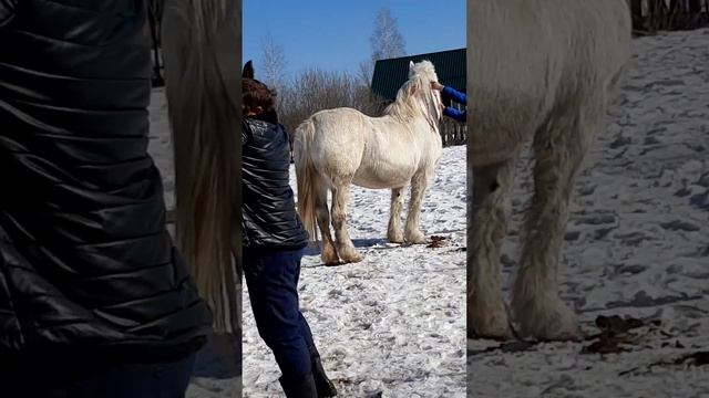 русланоскирэ грая