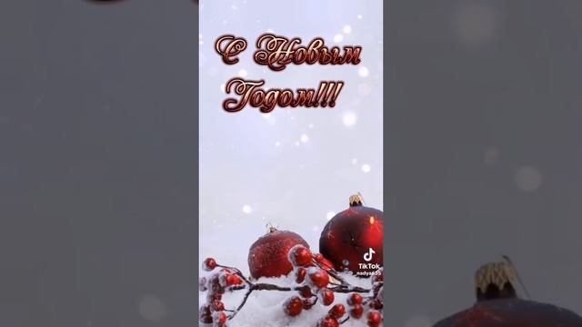 С Новым годом!!!