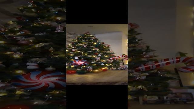 1000061268.mp4