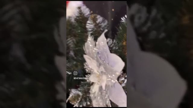 С Новым годом 🎄 и Рождеством!