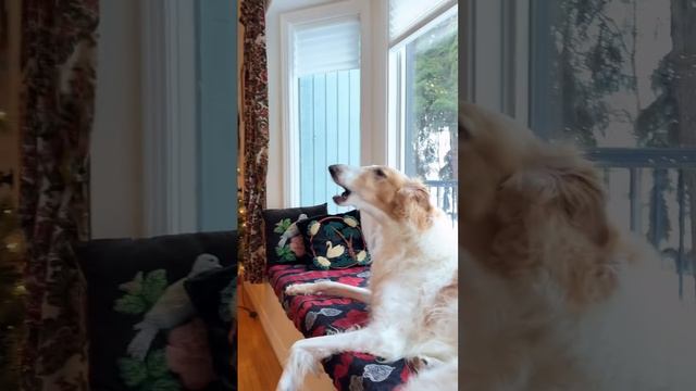 1000070141.mp4