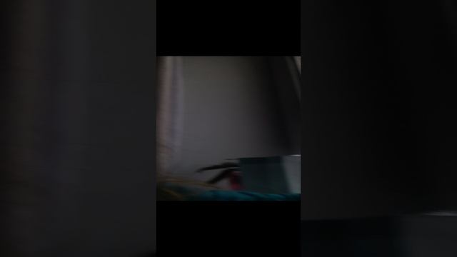 обзор на подарки