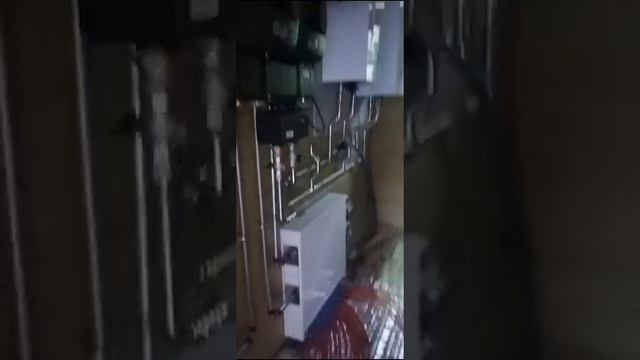 VID-20240730-WA0008.mp4