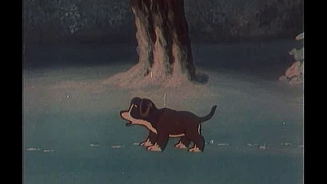 Крепыш 1950
