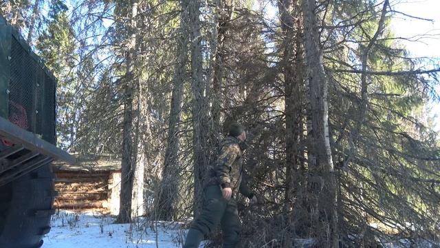 ТАЕЖНЫЙ. ИЗБА В ТАЙГЕ. ЧУТЬ НЕ ПОМЕР ОТ ТАКОГО УЖИНА.архив
