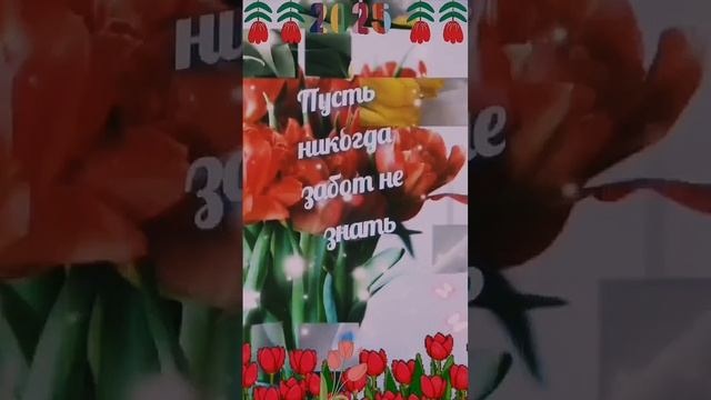 lv_0_20250101121506.mp4