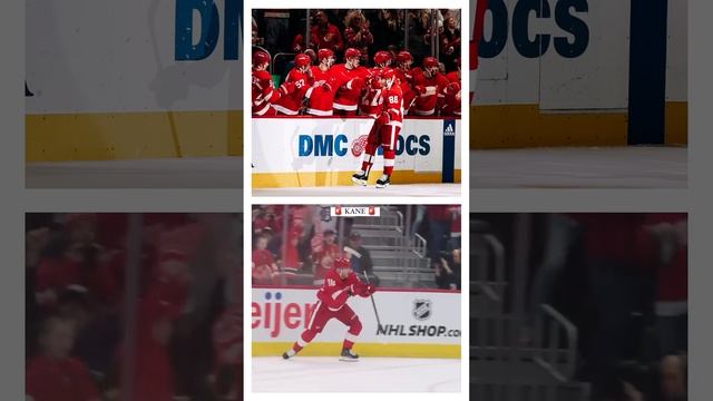 video (14)