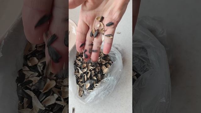 Ловушка для мышей на семечки