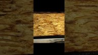 1000006602.mp4тортик