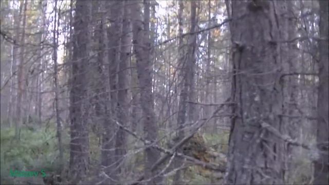 Крепление видеокамеры Full HD JVC GZ-R435DE, на мопед "ALPHA"-50.
