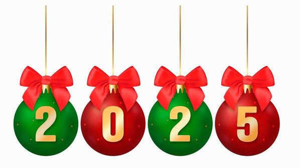 поздравляю всех с новым 2025 годом!!