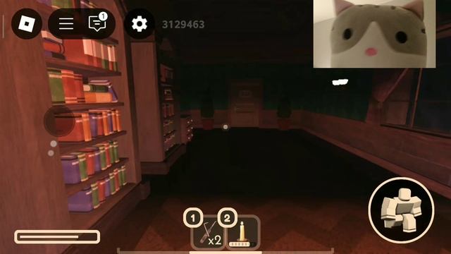 играем в дорс