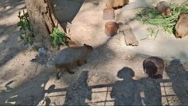 1000017790.mp4