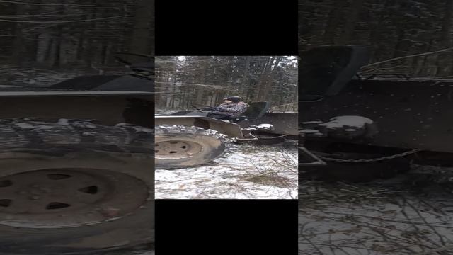 прокатились по леску