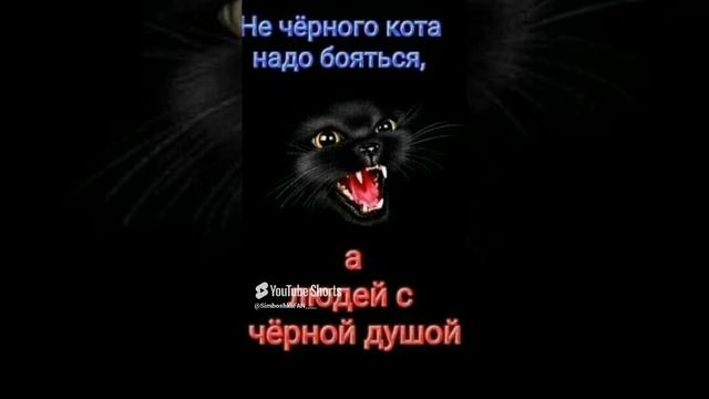 //(YT: 2 марта, 2023 г.) Как ваши делишки?😊