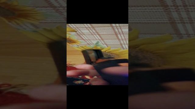 Электронноя зажигалка