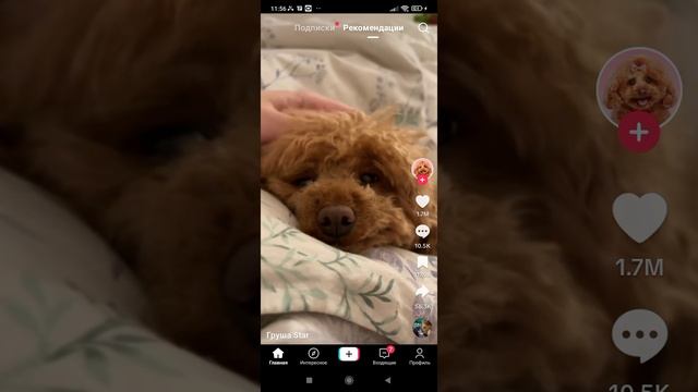 1000017186.mp4