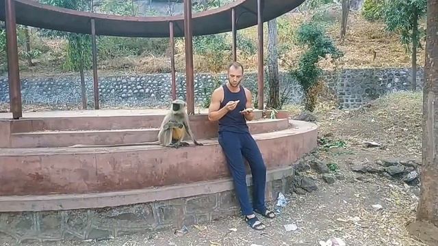 однажды в аджанте