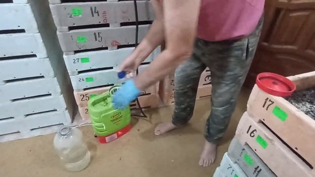 Как я доувлажняю субстрат в ящике с червём.