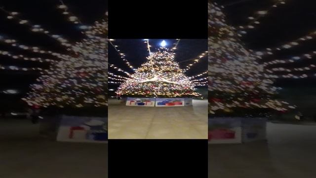 01.01.2025 Лазаревское. С новым годом! 🥳