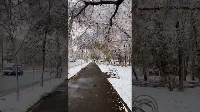 ❄️