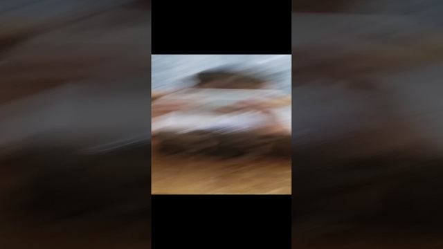 1000018775.mp4