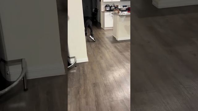 1000070136.mp4