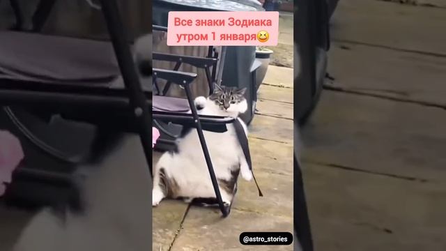 А как вы себя чувствуете? 😆