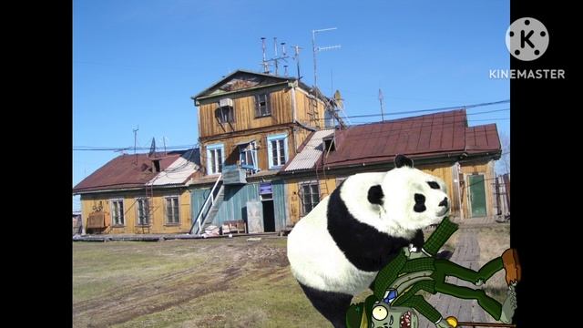 Анималити венды