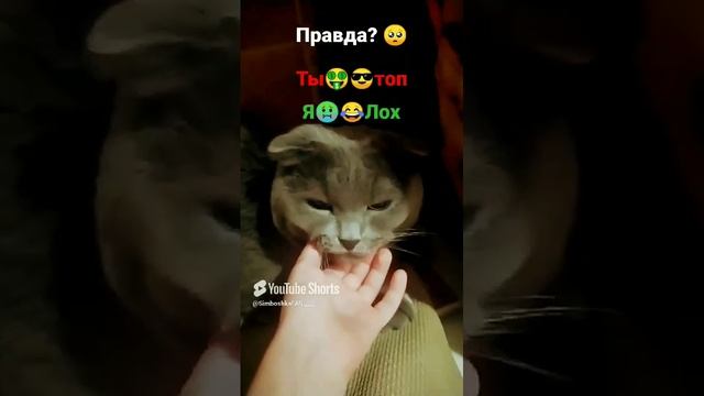//(YT: 9 марта, 2023 г.) Правда?( 😩 (12+)