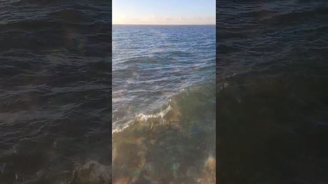 Рыбалка на хариуса в декабре 🎣👍