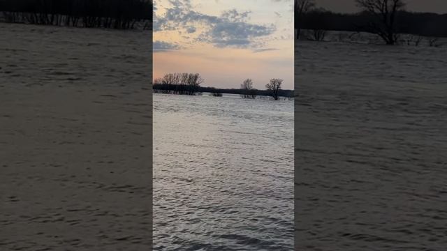 Этой весной мы все побывали на море