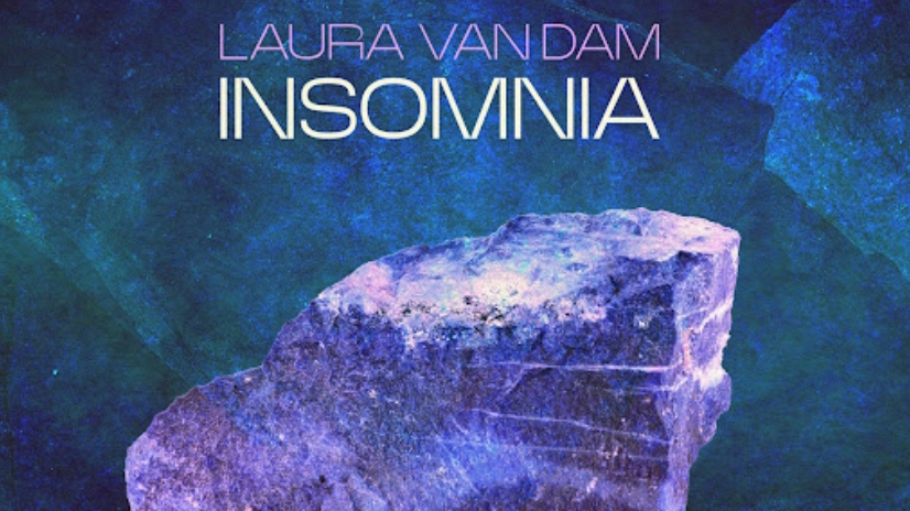 Insomnia - Laura van Dam