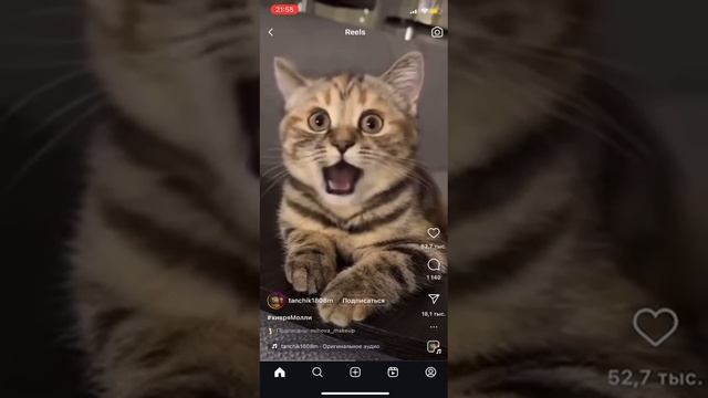 я хз