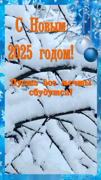 С Новым 2025 годом!