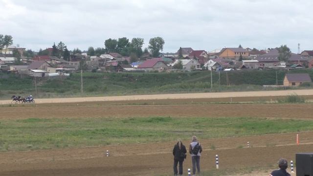 1 пара РУССКИХ ТРОЕК-Емельяново 15.08.15 (Лошади-Horse–Animal-racing-конь-смотреть-онлайн-скачки)