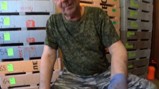 Пора массового выгона началась...