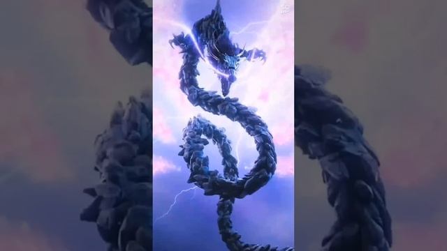 1000001207.mp4