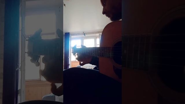 Музыкальный фрагмент - Musical fragment