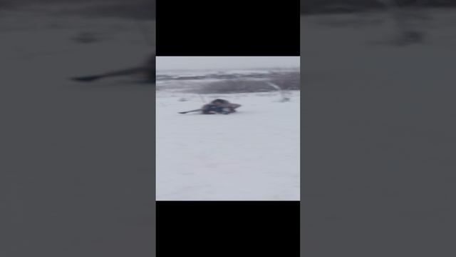 с горки