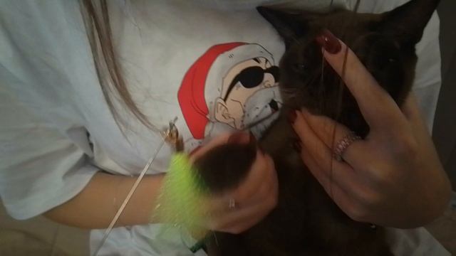Каспер делает вид что играет😂