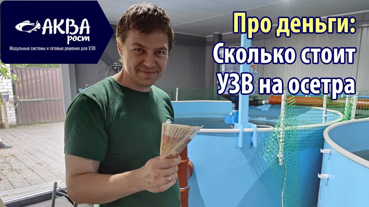 Сколько стоит УЗВ на осетра16м3. Про деньги #узв #рыба #бизнесвдеревне #акварост