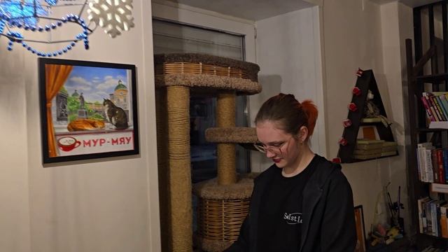 Новогоднее Котокафе