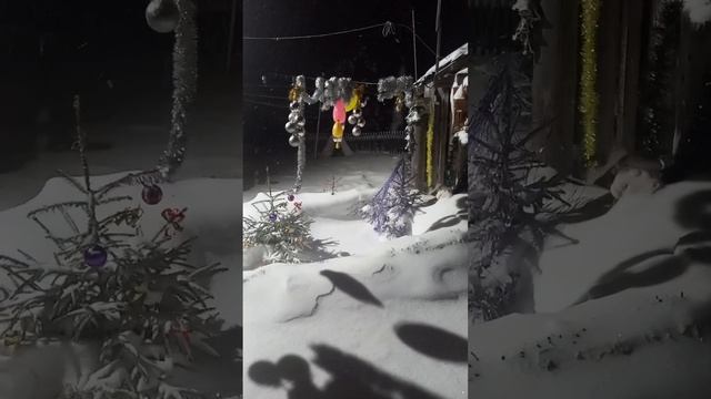 1000061061.mp4