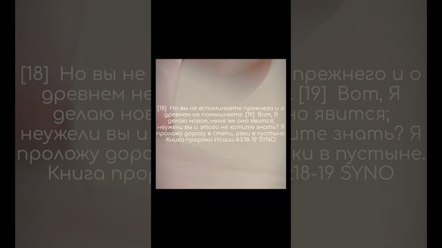 #Бог #Христос #любовь #вера #благодать #Библия #ХристосВоскрес #христианство #youversion