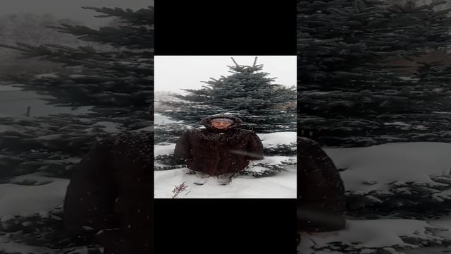 С Новым годом!