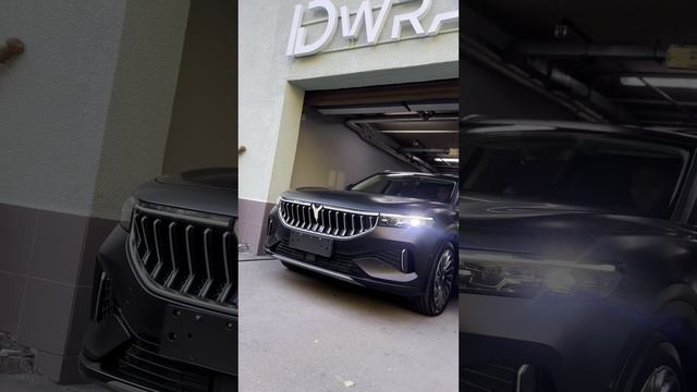 Voyah Freeантигравийка2023г2