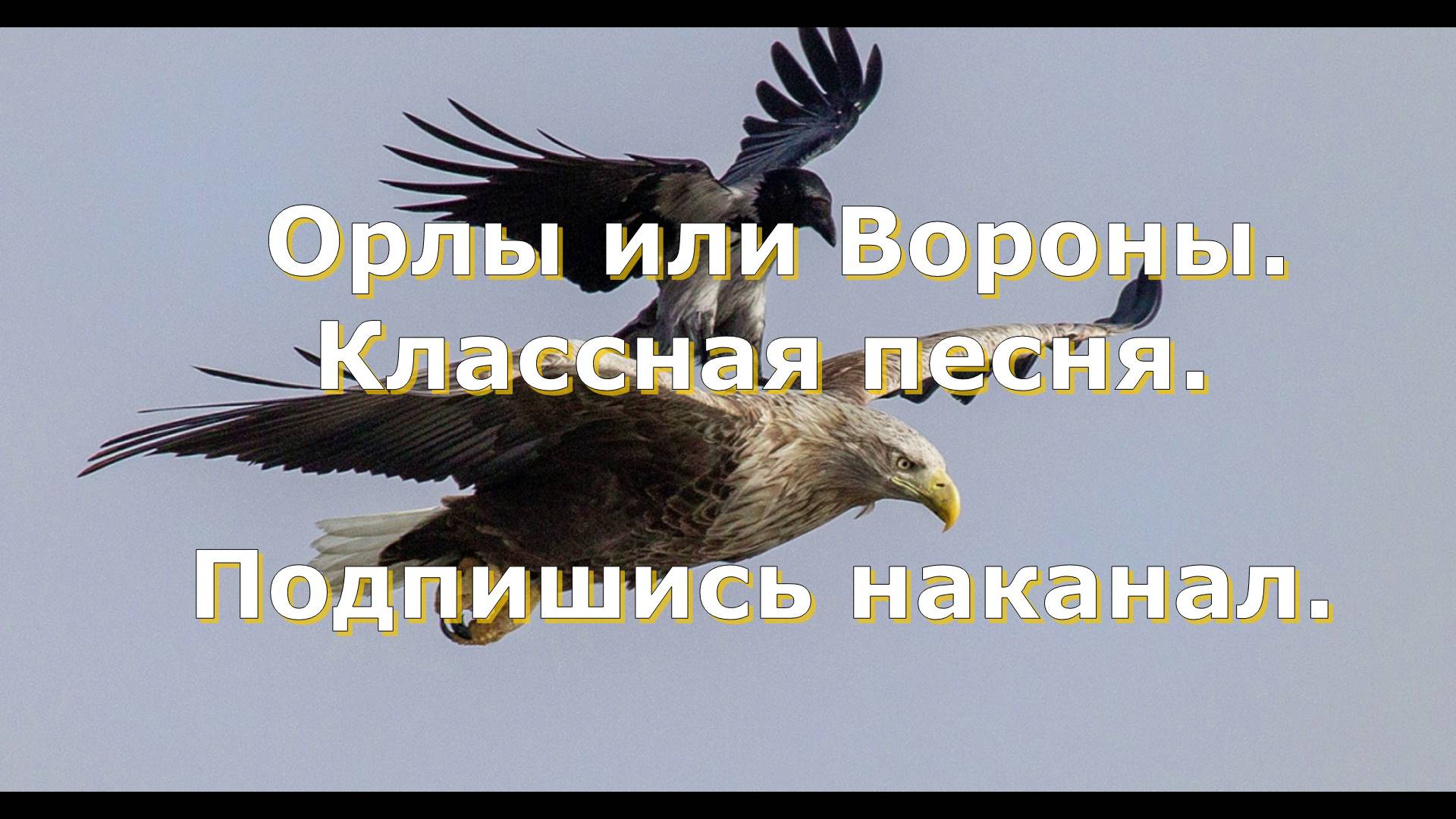 Алексей Глызин и Жан Милимеров_ СуперСтары - Орлы или Вороны